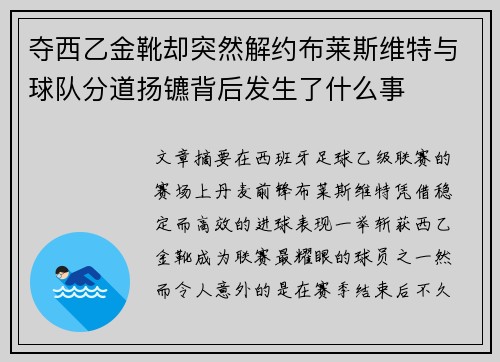 夺西乙金靴却突然解约布莱斯维特与球队分道扬镳背后发生了什么事